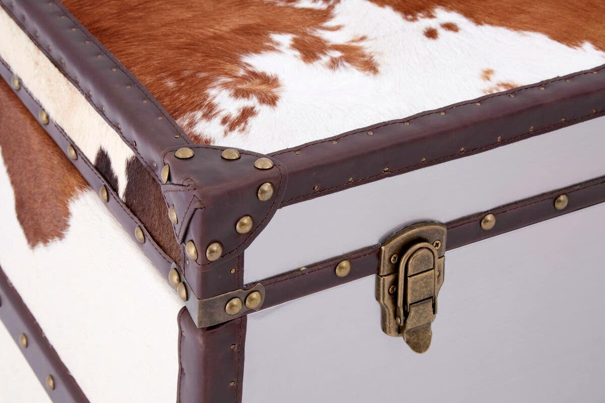 Kensington Townhouse Brown And White Cowhide Cabinet