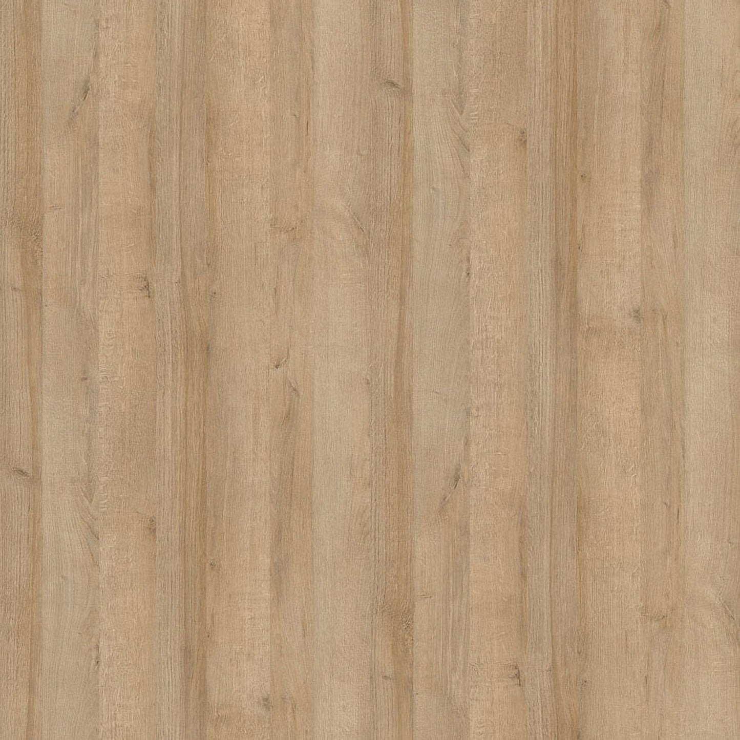 Lyon Tall Narrow Display Cabinet (LHD) in Riviera Oak/White High Gloss