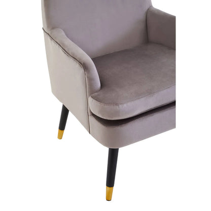 Loretta Mink Velvet Accent Chair With Wooden legs