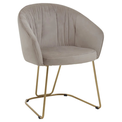 Veneto Mink Velvet Curved Dining Chair