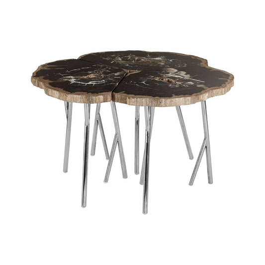 Relic Dark Petrified Wood Coffee Table
