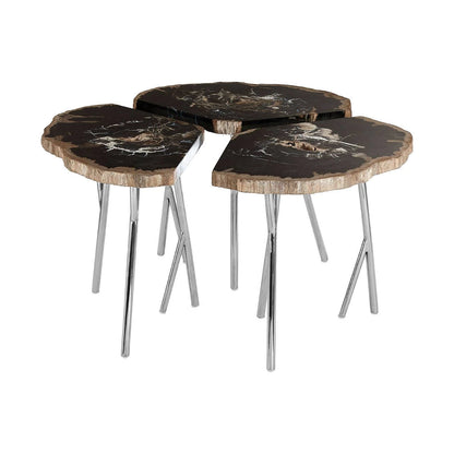 Relic Dark Petrified Wood Coffee Table