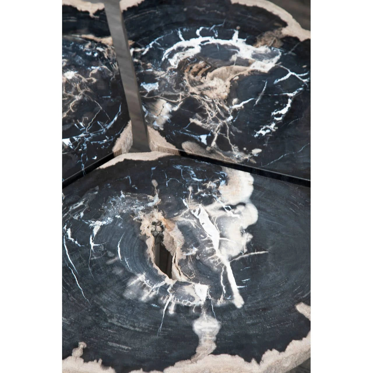 Relic Dark Petrified Wood Coffee Table