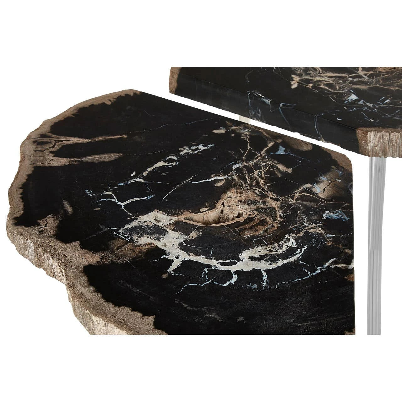 Relic Dark Petrified Wood Coffee Table