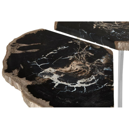 Relic Dark Petrified Wood Coffee Table
