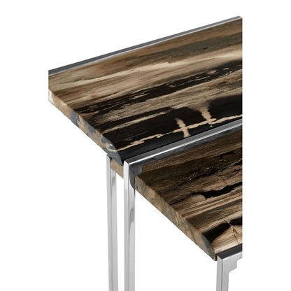 Relic Nest Of 2 Petrified Wood Side Tables