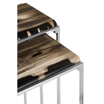 Relic Nest Of 2 Petrified Wood Side Tables