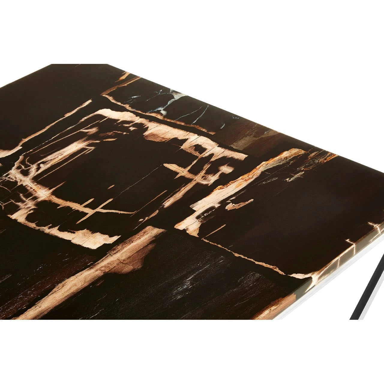 Relic Dark Petrified Wood Top Coffee Table