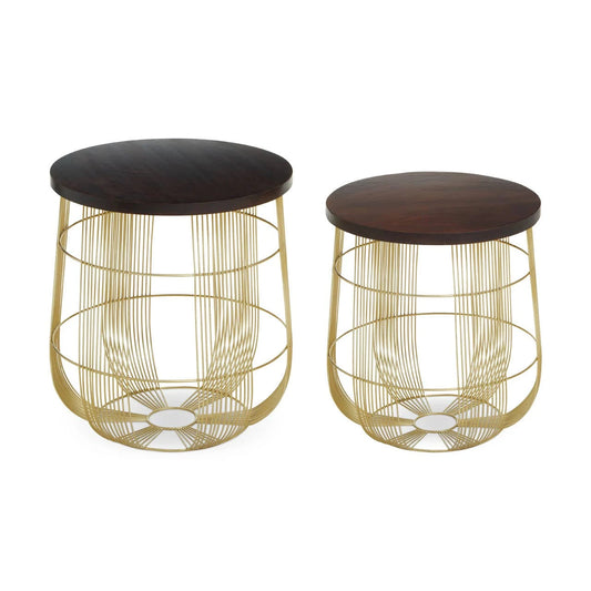 Agra Set Of 2 Side Tables in Mango Wood and Brass Finish