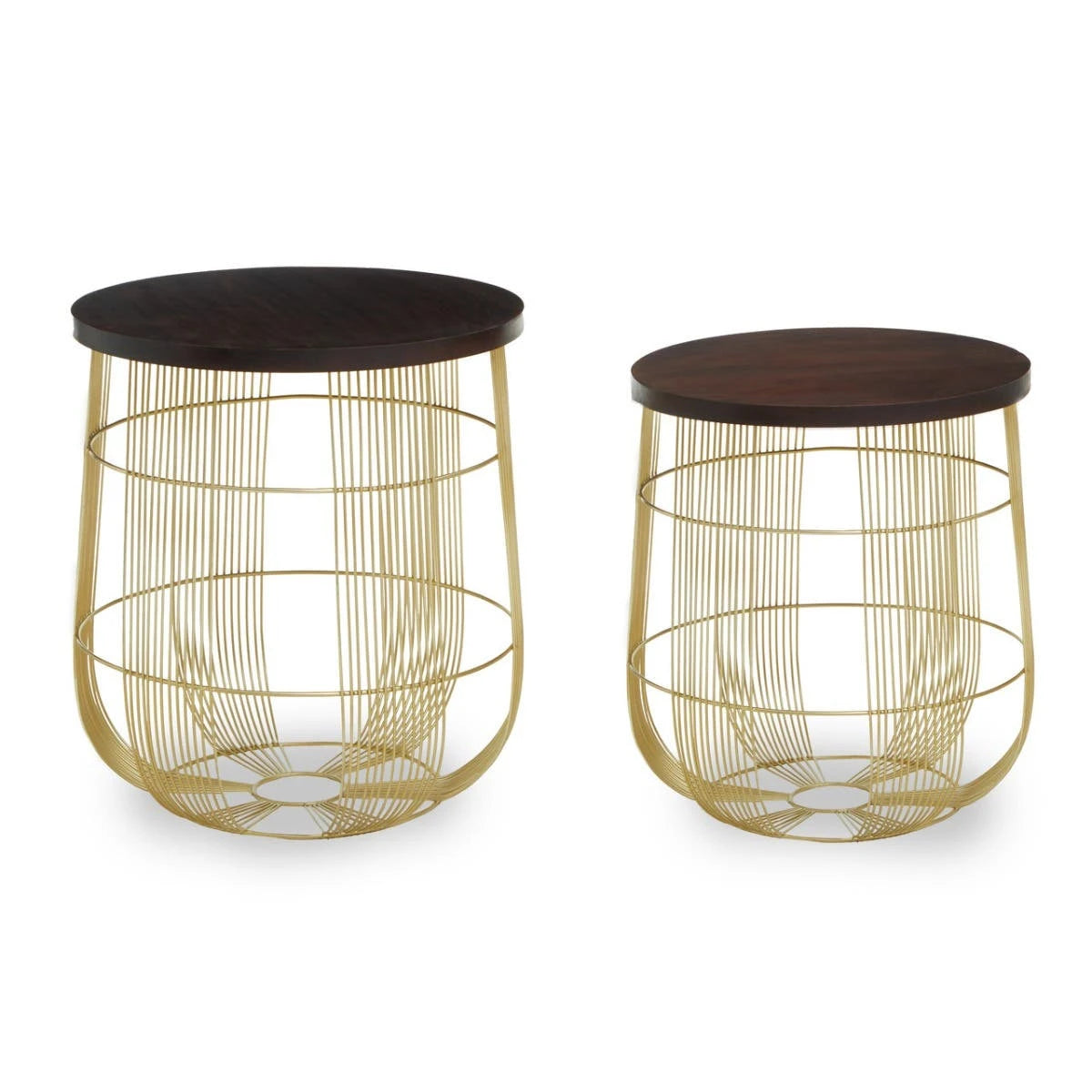 Agra Set Of 2 Side Tables in Mango Wood and Brass Finish
