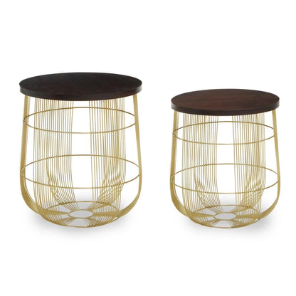 Agra Set Of 2 Side Tables in Mango Wood and Brass Finish
