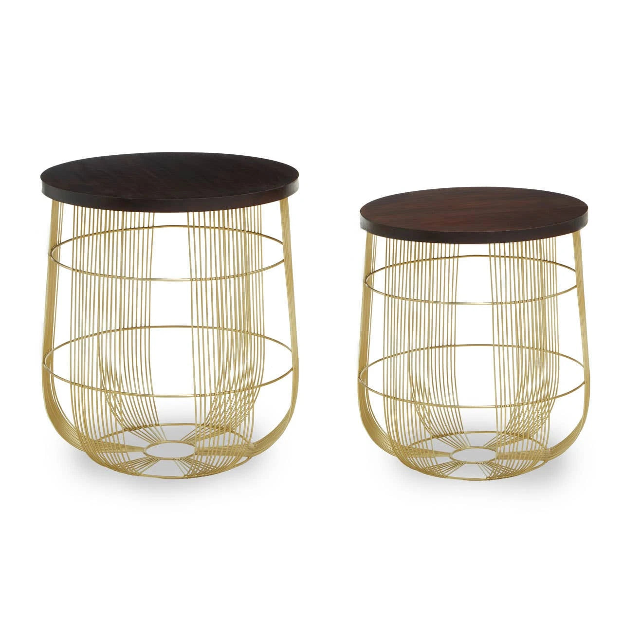 Agra Set Of 2 Side Tables in Mango Wood and Brass Finish