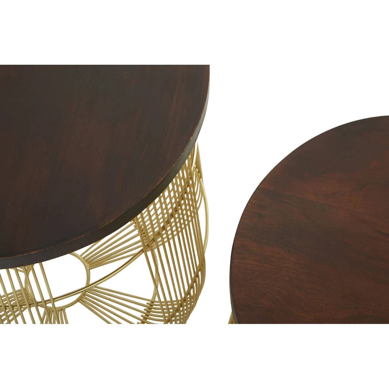 Agra Set Of 2 Side Tables in Mango Wood and Brass Finish