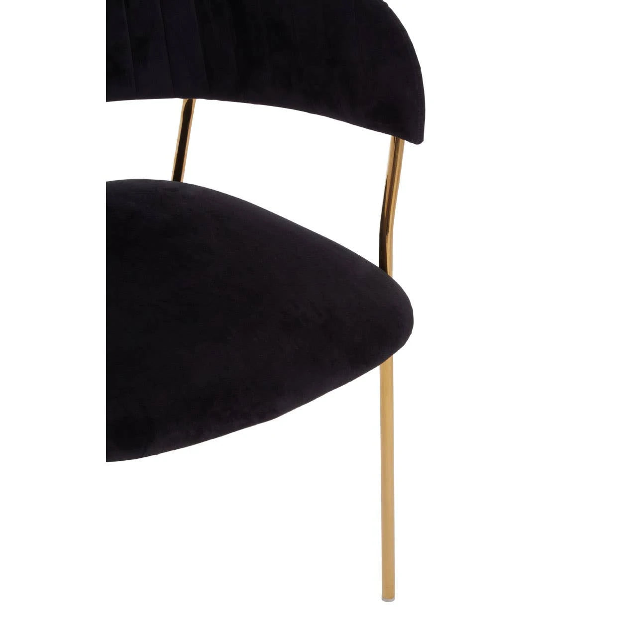 Tamzin Black Velvet Channel Tufted Dining Chair with Gold Finish Legs