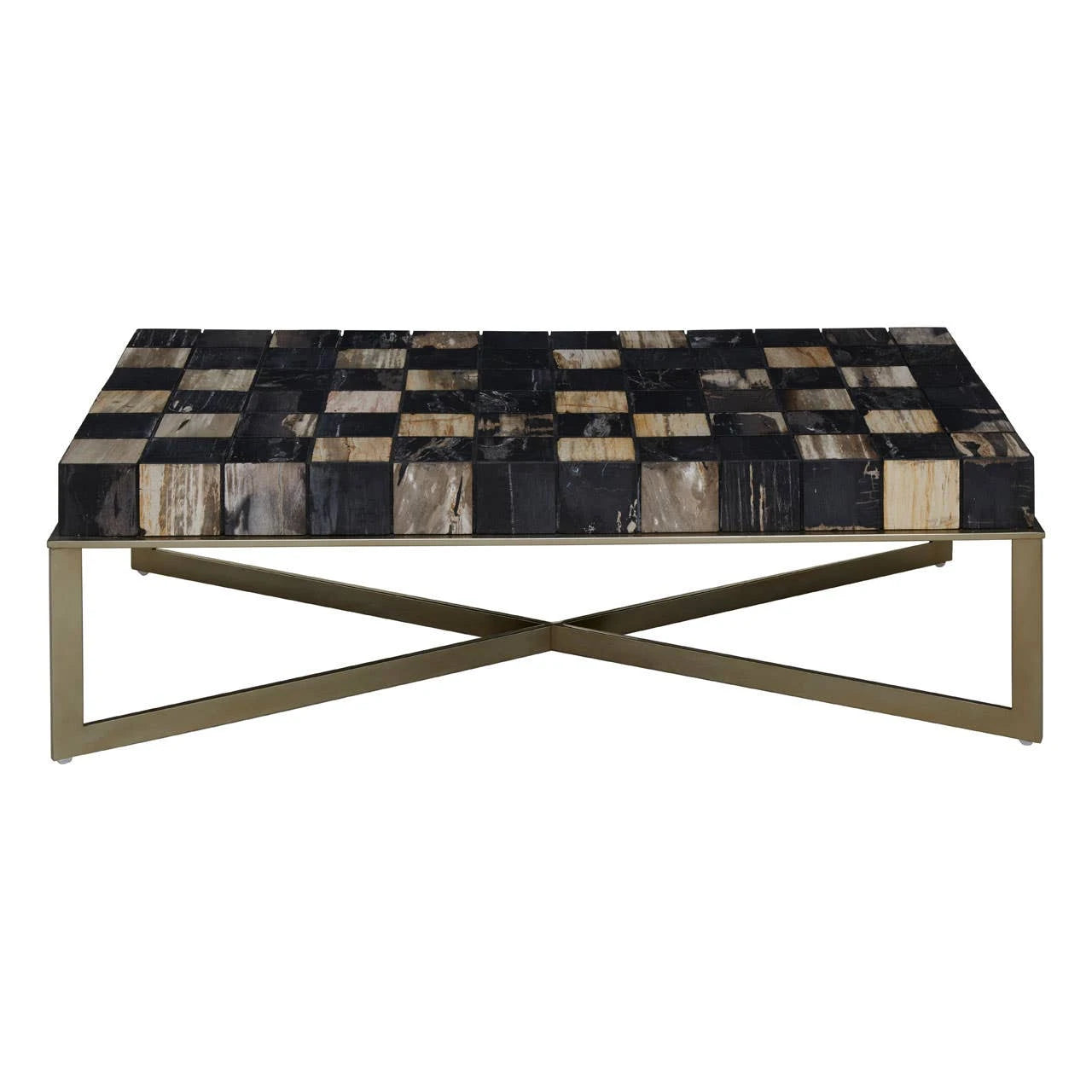 Relic Petrified Wood Chequered Coffee Table