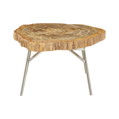 Relic Natural Petrified Wood Coffee Table