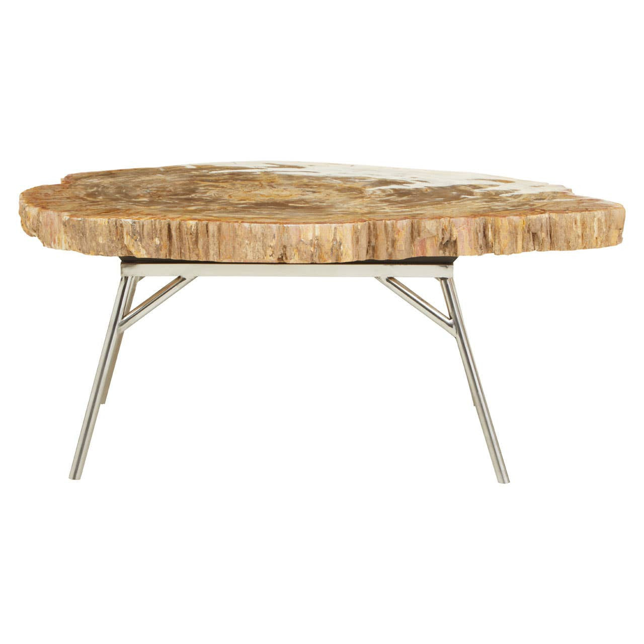 Relic Natural Petrified Wood Coffee Table