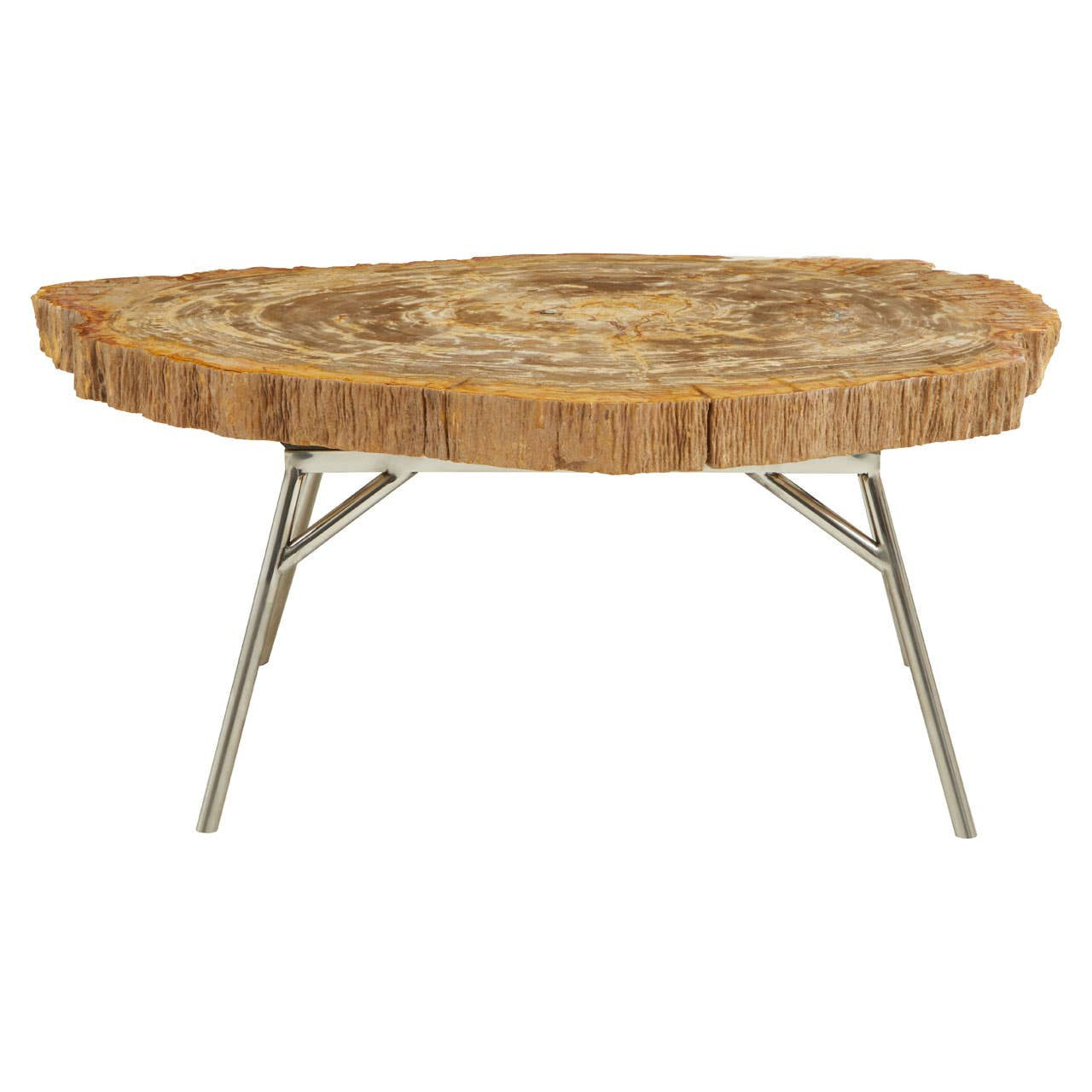 Relic Natural Petrified Wood Coffee Table