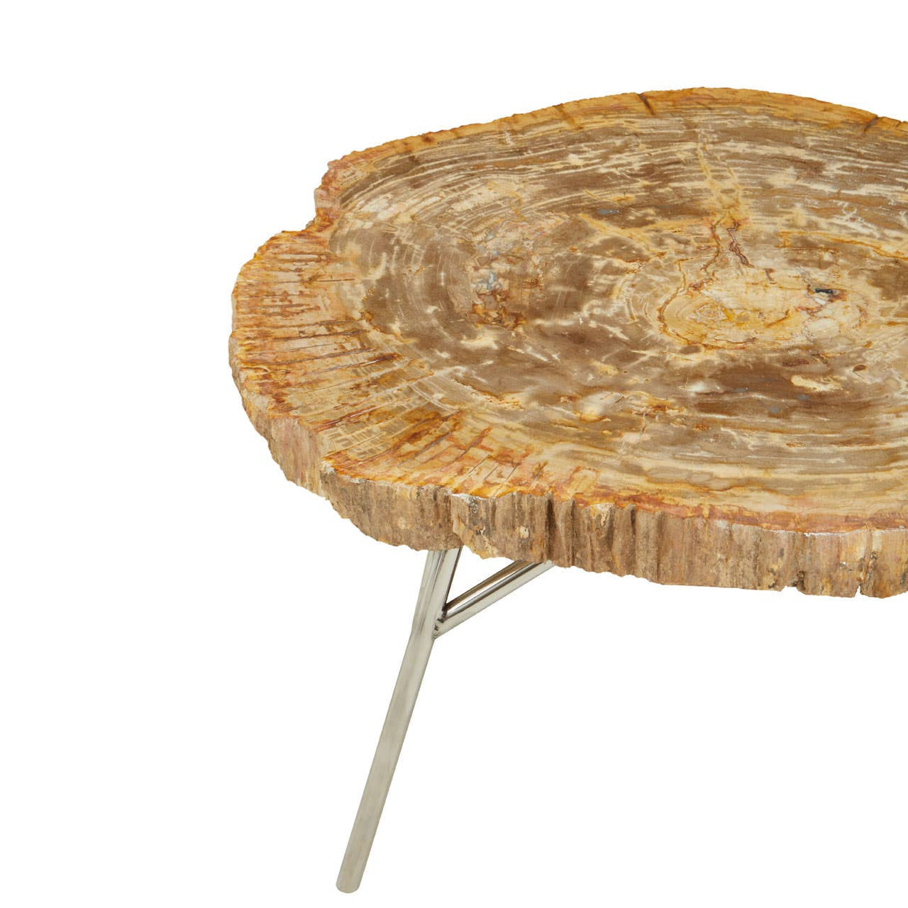 Relic Natural Petrified Wood Coffee Table