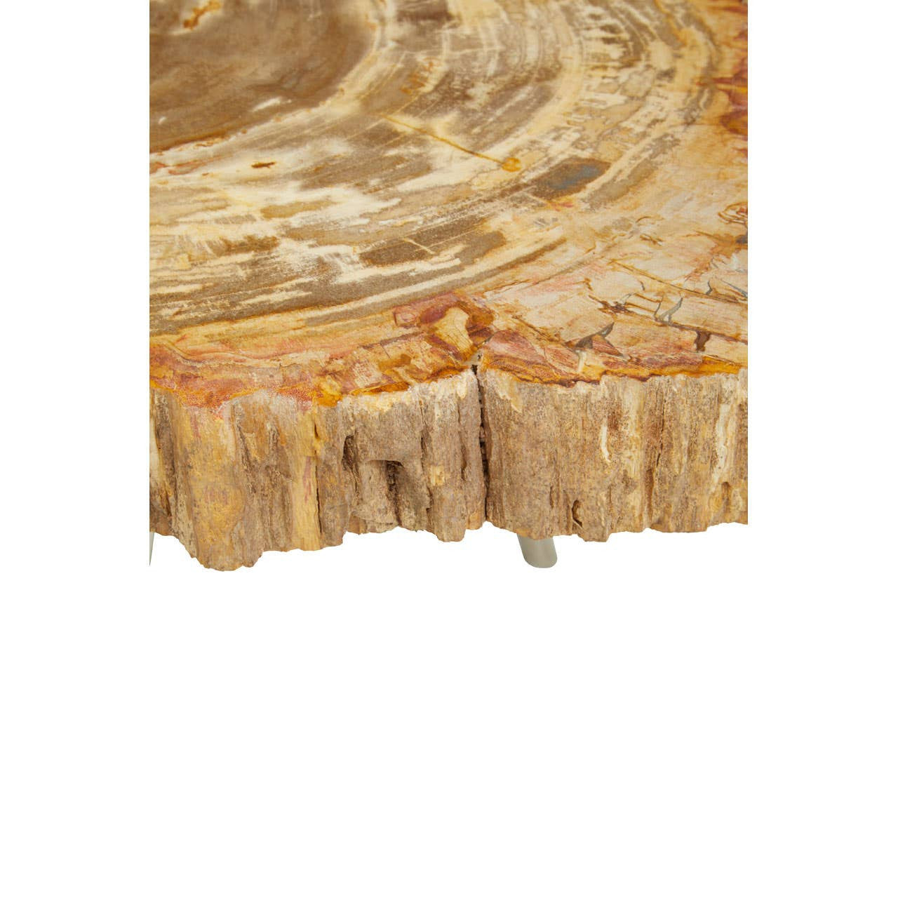 Relic Natural Petrified Wood Coffee Table