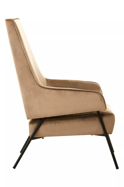 Henia Mink Velvet Chair