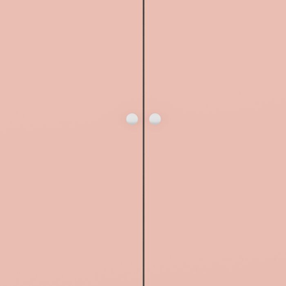 Denver 2 Door Wardrobe in White & Pink Gloss