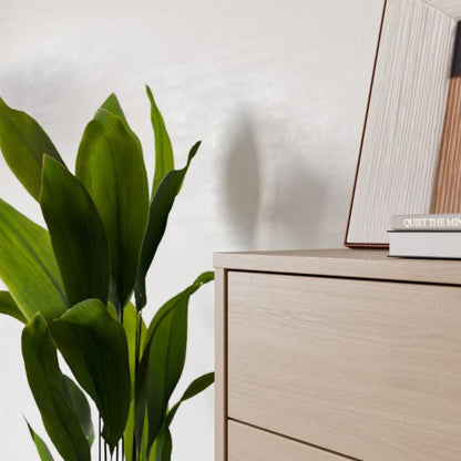 Alice Springs 4 Drawer Chest with Push-to-Open Drawers in Elegancia Oak and White