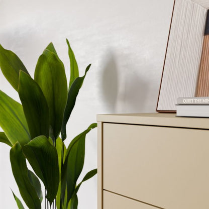 Alice Springs 4 Drawer Chest with Push-to-Open Drawers in Butter Yellow