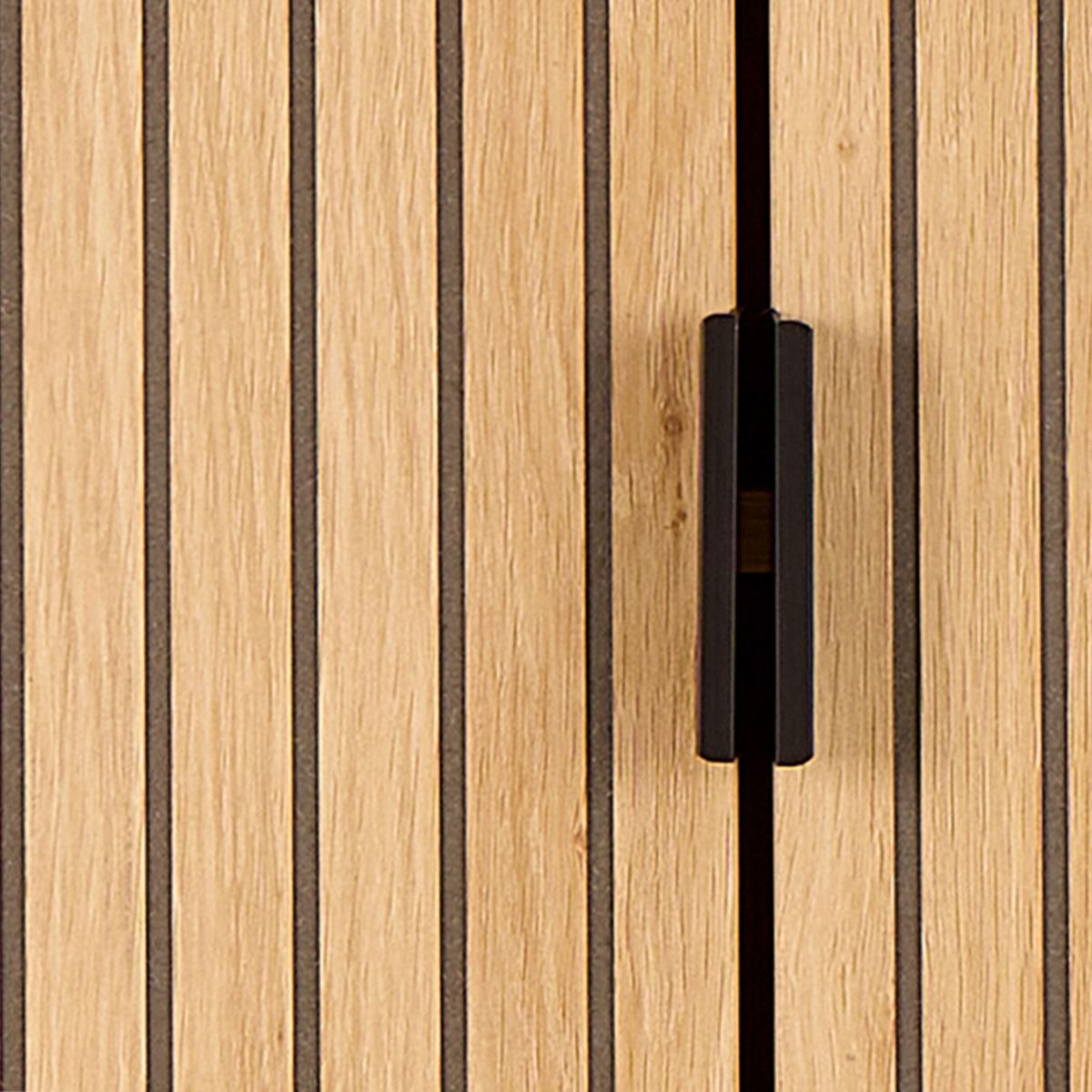 Jaipur Cabinet 2 Doors 3 Shelves With Oak Lamella Front