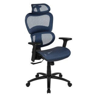 Blue Ergonomic Executive Office Chair with Lumbar Support