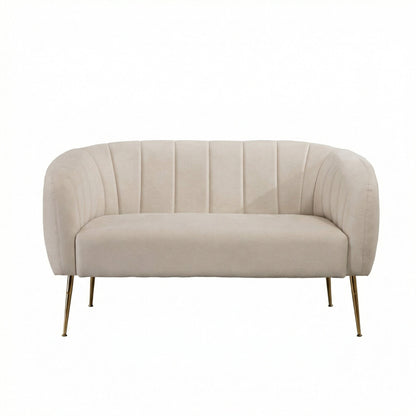 2 Seat Accent Chair sofa