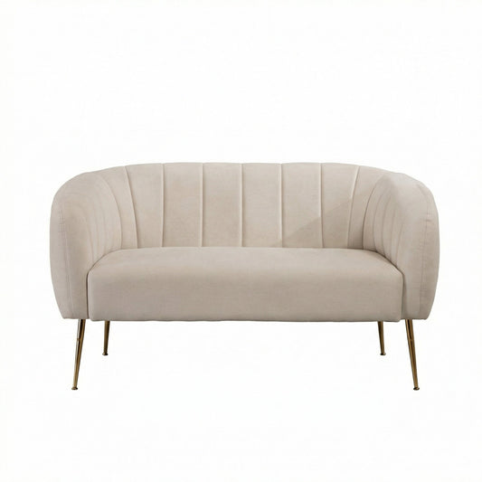 2 Seat Accent Chair sofa